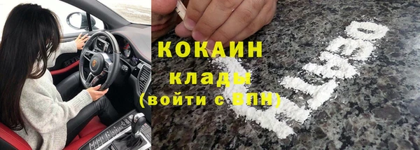крисы Алексин